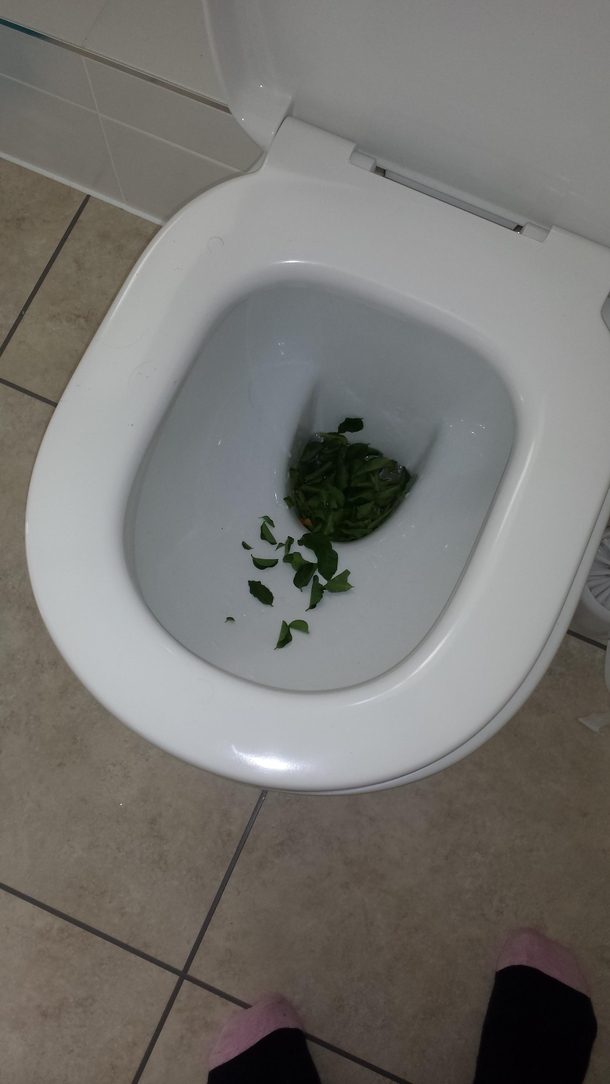 I hate it when my fiance trims her bush in the toilet