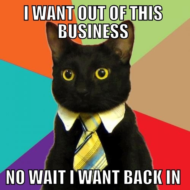 I heard Business Cat is back