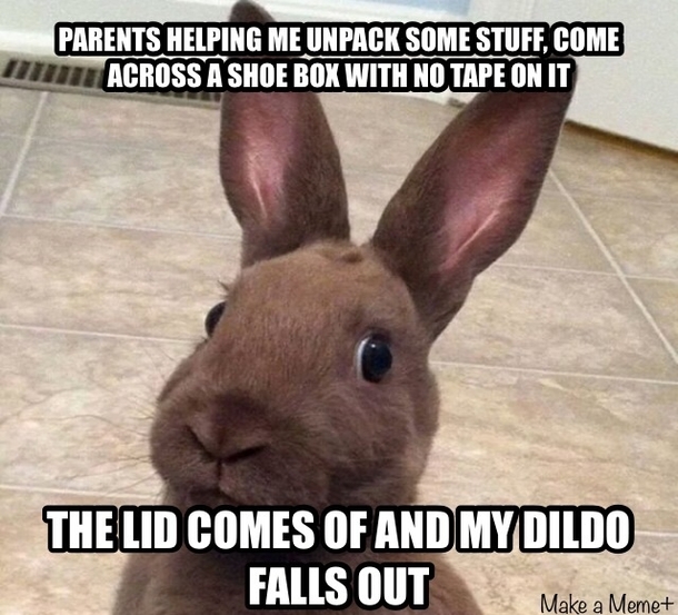 I know this is not the right meme but it was a Rabbit thought this pic was right for the occasion