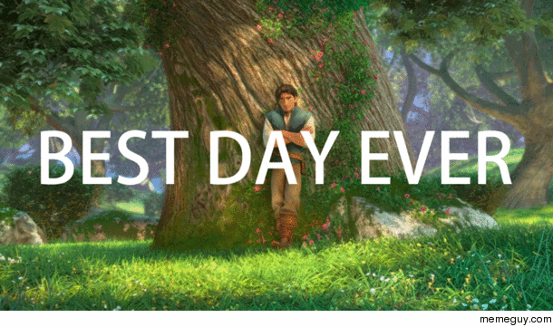I made this gif of Rapunzel swinging around saying BEST DAY EVER because the only ones I saw were all very low quality so I spent a good while getting this just right