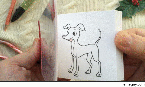 I make custom flipbook animations of peoples pets Some alive and wellothers being memorialized 