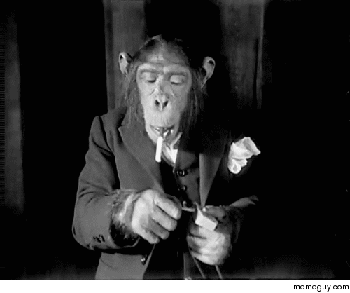 I offer you a monkey with some sophistication