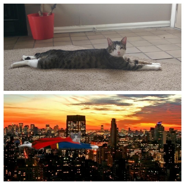 I posted a picture of my cat Carl laying down on Facebook My step dad returned fire with an awesome Photoshop Supercarl is alive