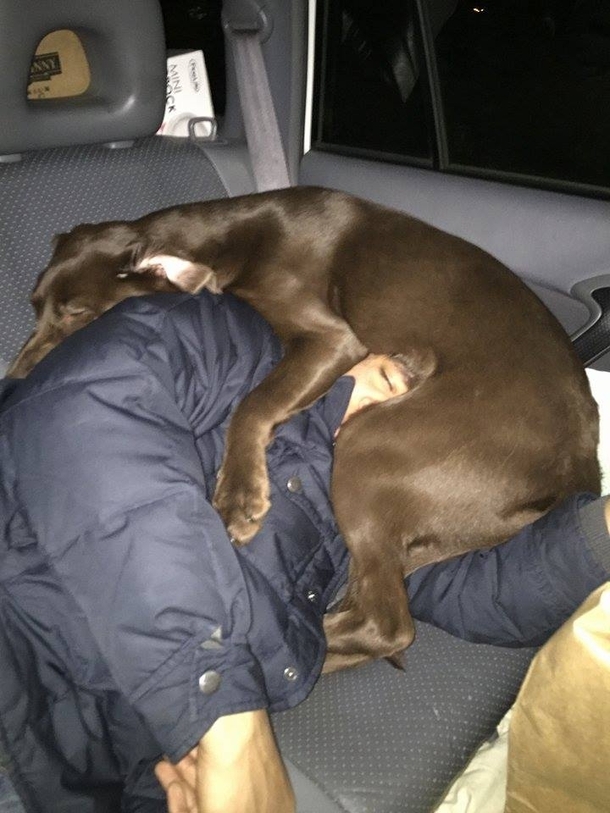 I pushed my dog out of the seat so I could sleep during a road-trip my wife took this picture while I slept