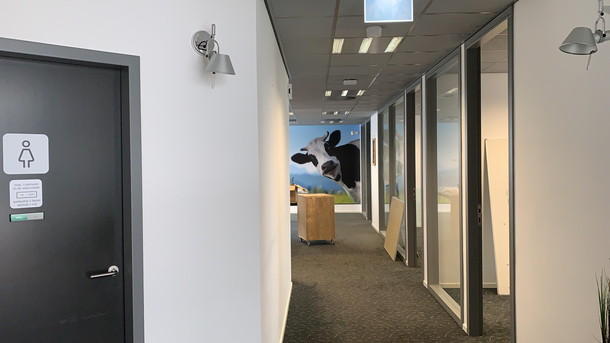 I saw the cow as a laptop background and I though you guys would like our hallway in the office