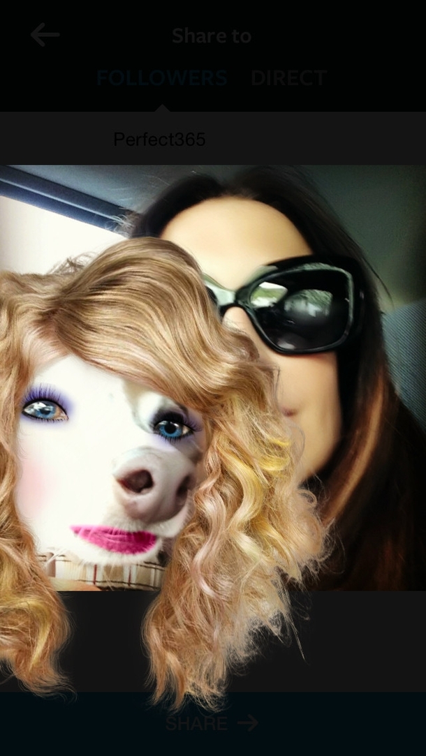 I see your aged cat and and raise you a glam dog thanks to make-up app