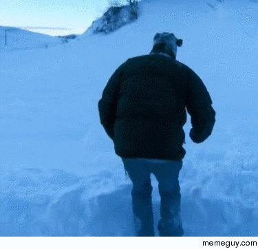I see your Fox hunting for mice under the snow and raise you Jeremy Clarkson