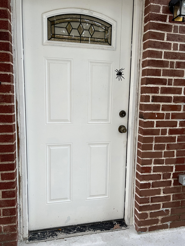 I texted my neighbor lmk if you need an exterminator Ive been seeing a lot of spiders then hung this at his door