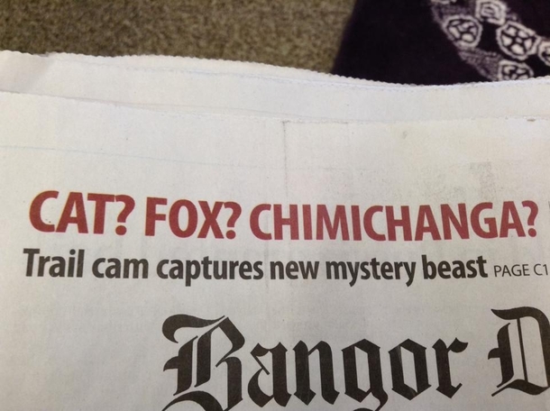 I think they meant chupacabra
