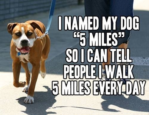 I walk  miles everyday
