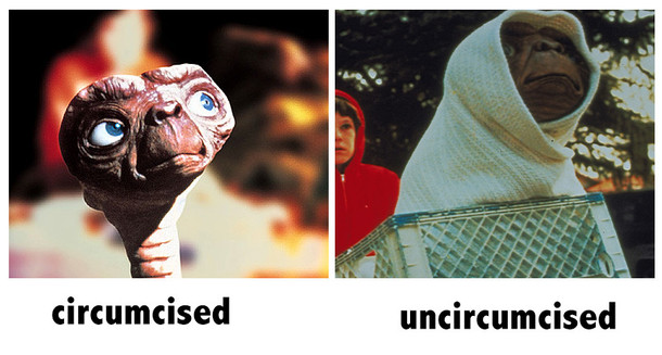 I was asked to describe what an uncircumcised penis looks like without showing one