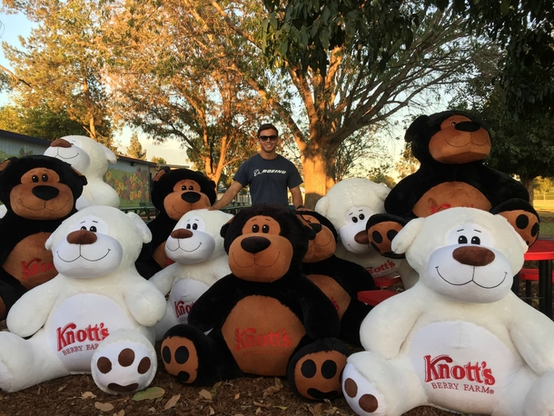 I was so preoccupied with the thought of whether or not I could win  giant bears from Knotts Berry Farm I didnt stop to think whether I should win  giant bears from Knotts Berry Farm