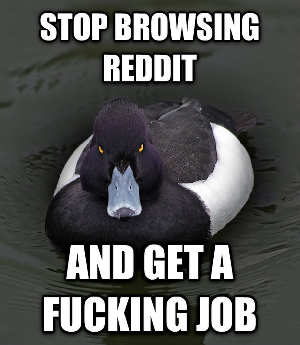 If you are going to complain about people with jobs browsing on Reddit because you dont have one this is for you