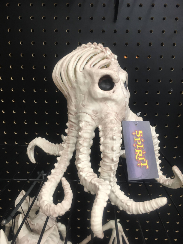 Im all for Halloween decorations but I draw the line at skeletons of invertebrates