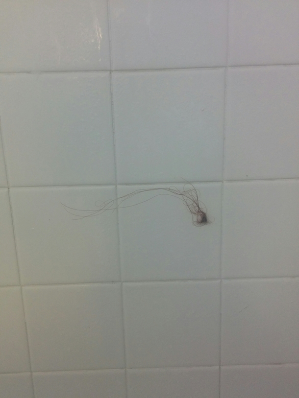 Im disgusting when I leave a few beard hairs in the sink but somehow this is acceptable