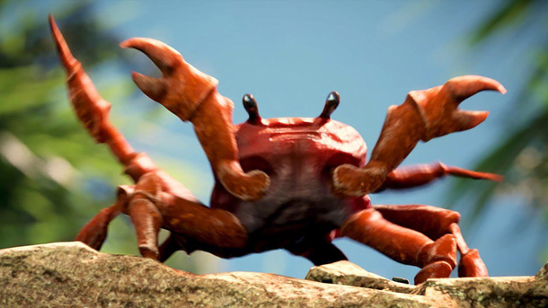 Im leaving this island has crabs