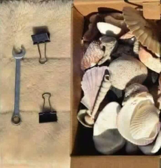 Im selling my mm Comes with  clips and a box full of shells