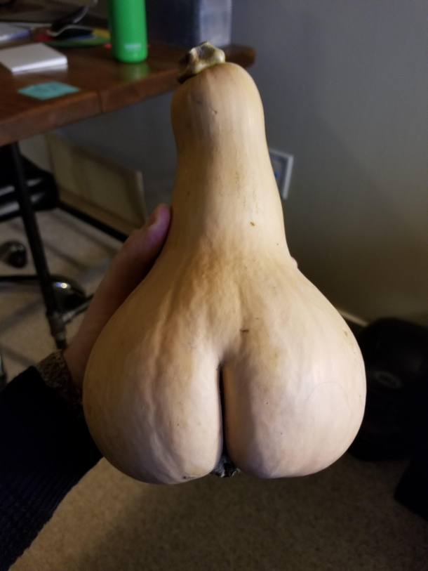 In the spirit of the buttato and the pearriere I give you our uh dickbuttsquash
