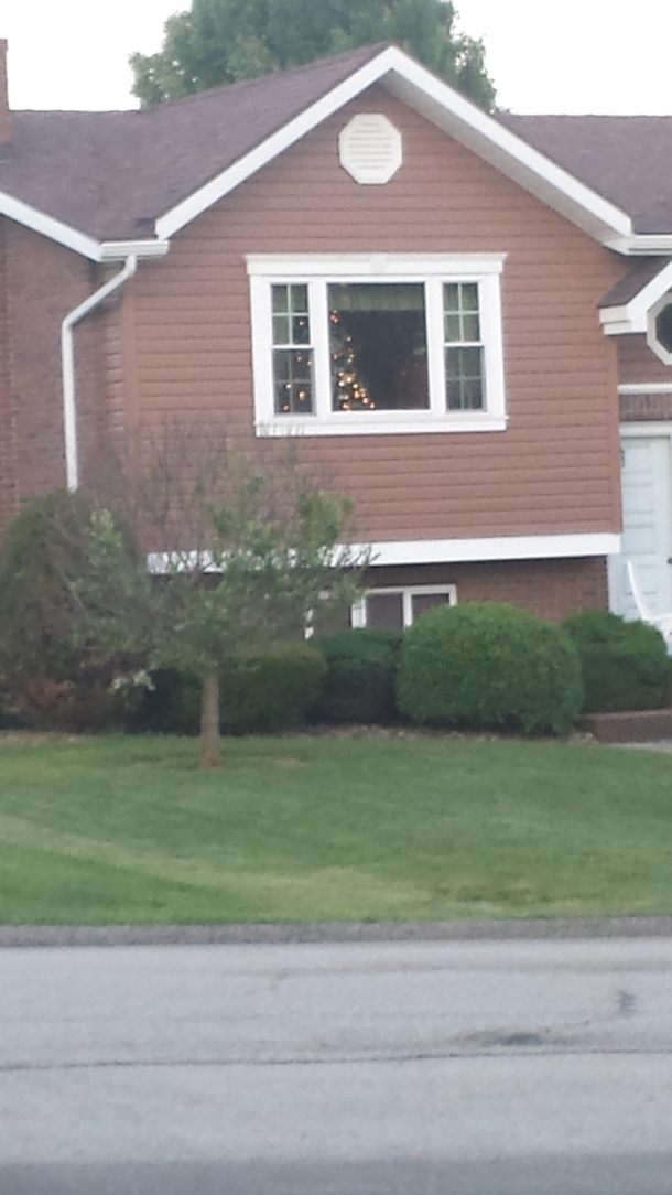 It is June th My neighbors still have their Christmas tree upwith Christmas ornaments on it