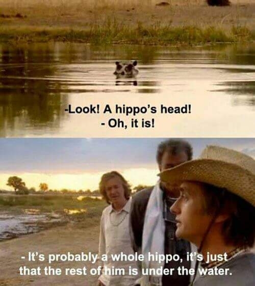Its probably a whole hippo