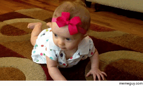 Jack Russell Terrier teaching baby how to crawl