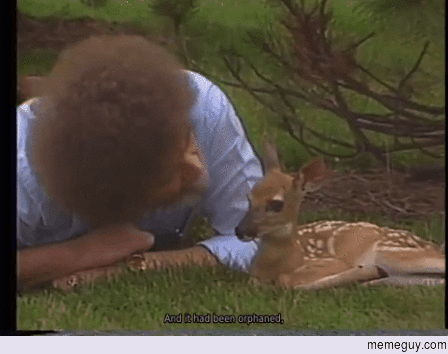 Just a gif of Bob Ross with a baby deer
