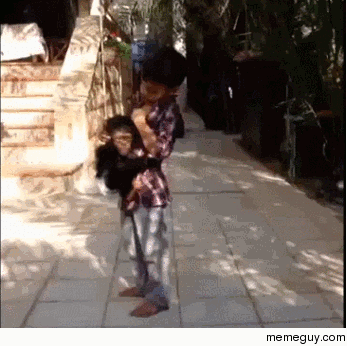 Just a kid protecting a monkey from a hyena