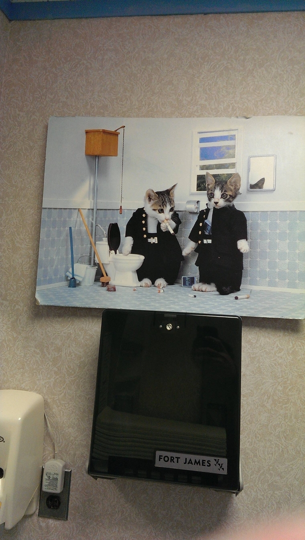 Just a little bit of doctor office bathroom wall art