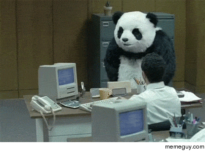 Just found out the Government Shutdown means no Panda Cam