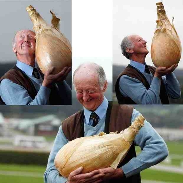 Just in case you havent seen a guy who is best friends with a giant onion today here you go
