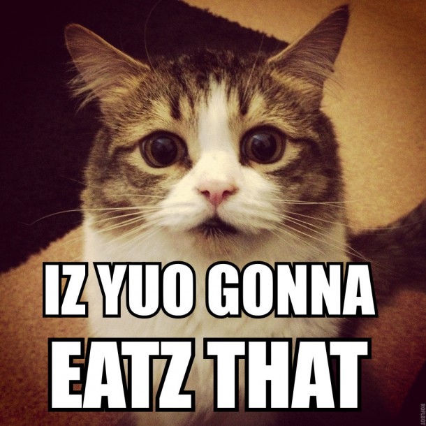 Katz Be hungary