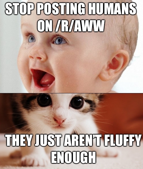Kids and kittehs are in different leagues of aww Every parent will downvote this It is still TRUE