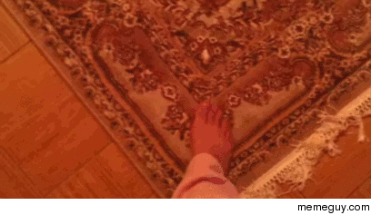 Kitten scared of magic carpet