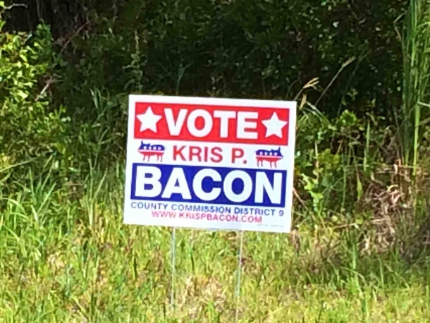 Kris P Bacon for president