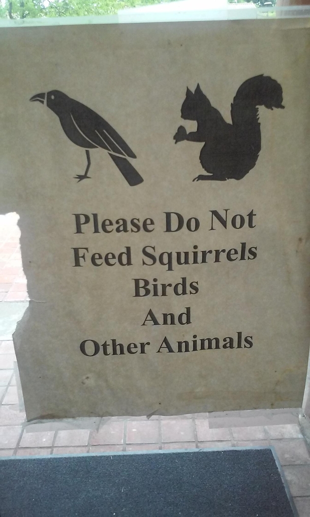 Lack of commas makes for some scary-ass squirrels