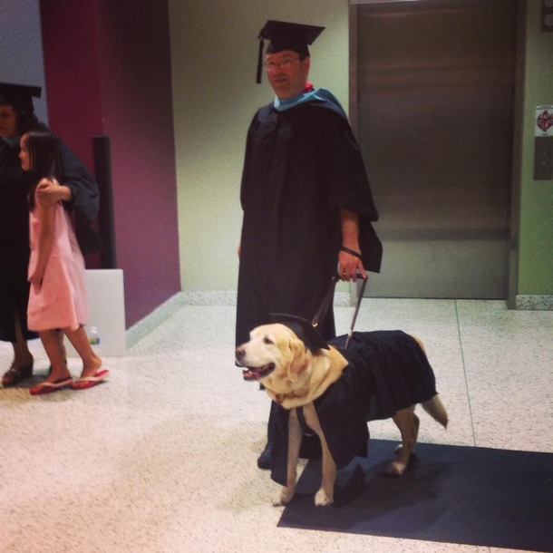 Last night my university gave an honorary masters degree to the service dog who sat through every one of his owners classes He dressed appropriately for the ceremony