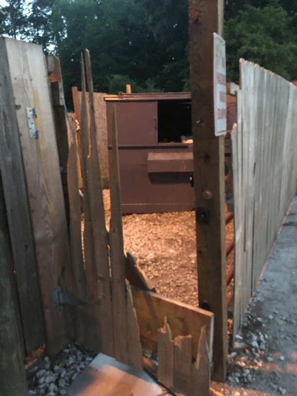 Latch put on gate to stop dumpster diving bearBear not amused