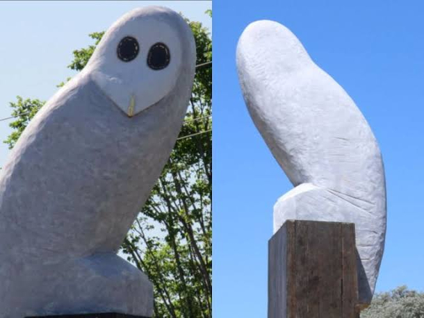 Lets not forget the public art from Canberra Australia The Big Powerful Owl