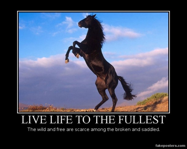 Live Life To The Fullest