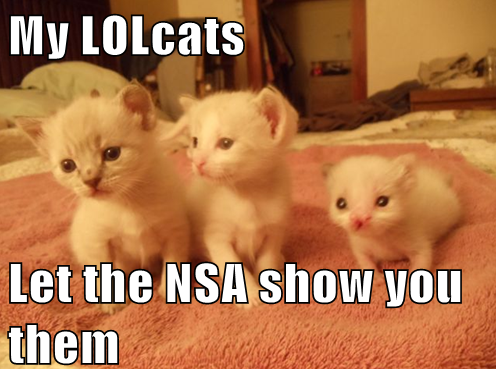 LOLcats must have their own server farm