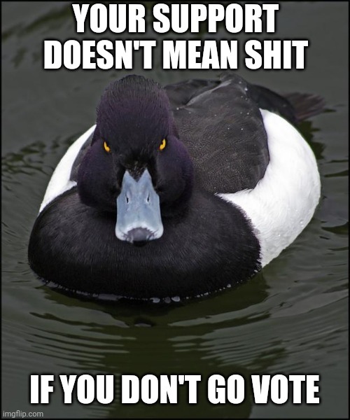 Looking at you and your Bernie  bumper stickers