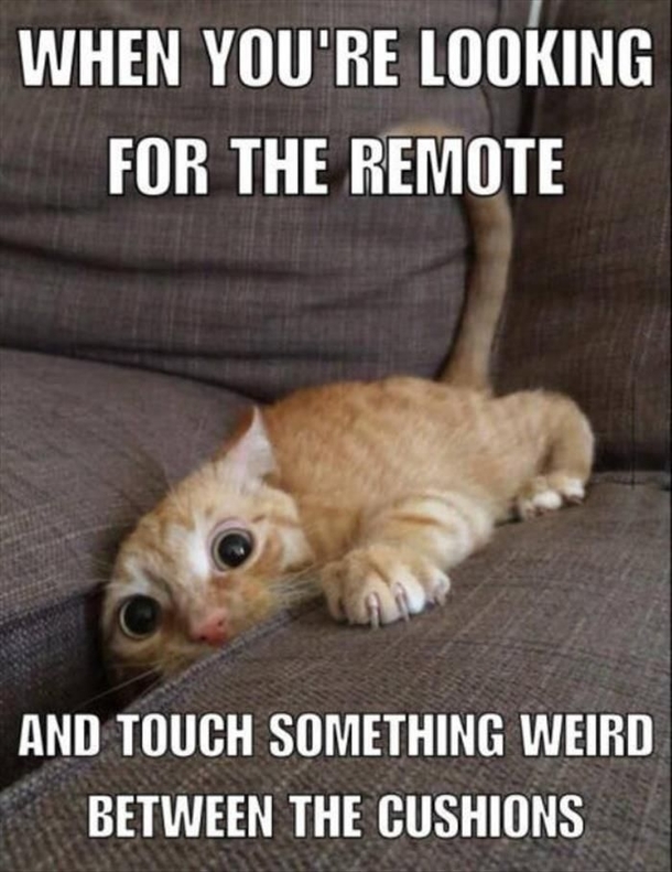 Looking for the remote