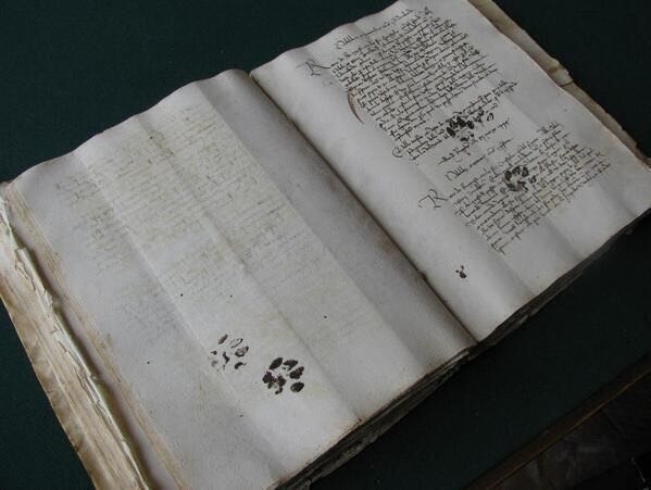 Looks like cats have always given exactly zero shtsthis is an Italian manuscript from the year 