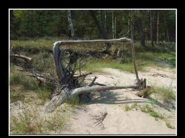 Looks like we found a square root