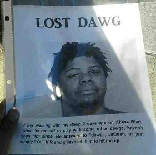 Lost dawg
