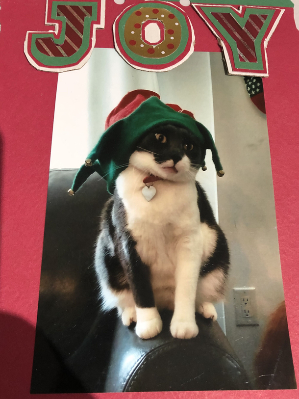 Made my wife a xmas card a few years with our cat being super cheery