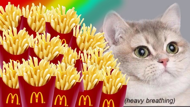 Me Can I put an image of a cat next to French fries on my debit card Wells Fargo umm I guess