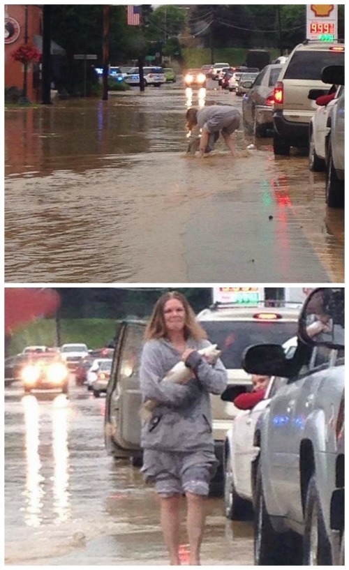 Meanwhile in West Virginia a spot of humor to lighten the mood around the floods