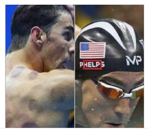 Michael Phelps is kept in captivity and forced to win golden medals