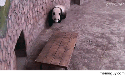 Mission Impossible Panda